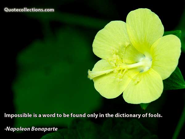 Napoleon Bonaparte Quotes2